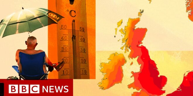 UK's record-breaking heatwave 'basically impossible' without climate change - BBC News