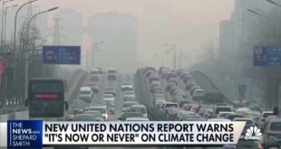 U.N. climate report: World must deal with climate change 'now or never'