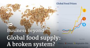 A world going hungry? How conflict and climate change disrupt global food supply | Business Beyond