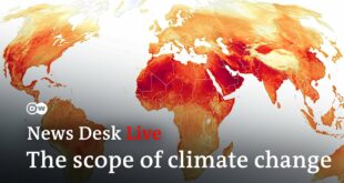 Beyond extreme weather: How the climate crisis changes life on Earth | News Desk