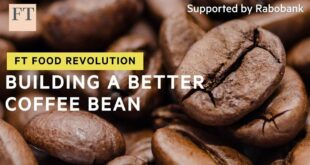Can scientists develop a coffee bean more resistant to climate change? | FT Food Revolution
