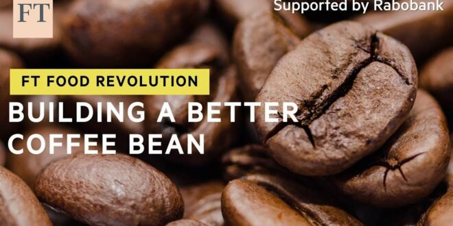 Can scientists develop a coffee bean more resistant to climate change? | FT Food Revolution