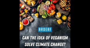 Can the idea of veganism solve climate change?