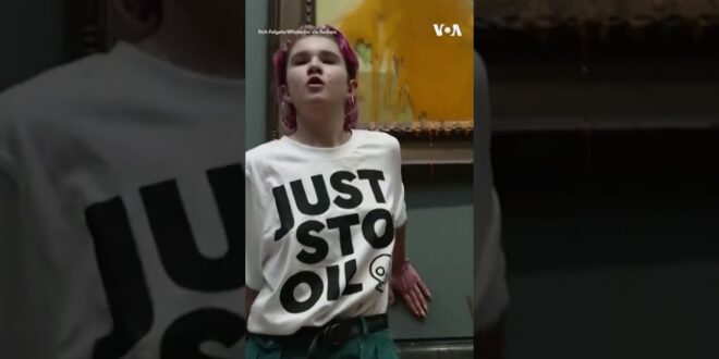 Climate Change Protesters Throw Soup at Painting #shorts