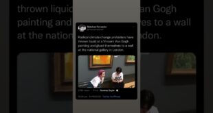 Climate change protesters have thrown liquid at a Van Gogh painting and glued themselves to a wall.