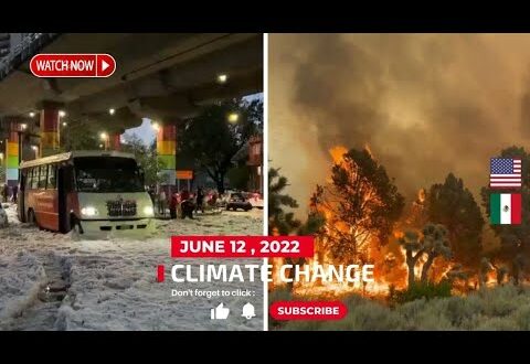 Daily CLIMATE Change News : June 12, 2022