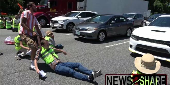 Furious American drags away climate activists blocking his path to work on busy highway
