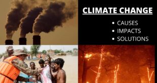 Global Warming | Climate Change | Causes, Impacts and Solutions | CSS/PMS | English Essay, CA and PA