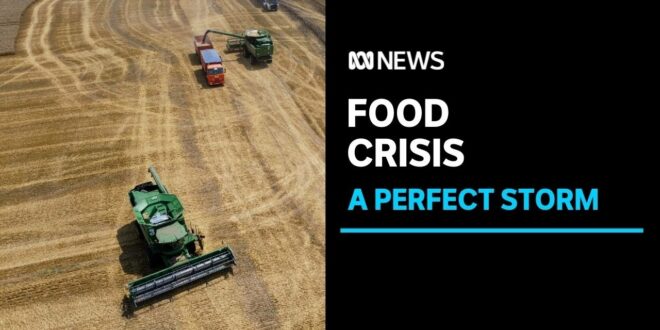 How conflict, Covid-19 and climate change are fuelling a growing global food crisis | ABC News