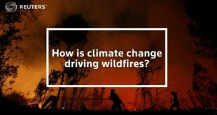How is climate change driving wildfires?