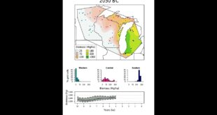Modeling historical biomass could be key to buffering climate change
