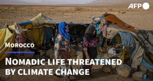 Moroccan nomads' way of life threatened by climate change | AFP