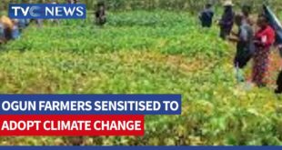 Ogun Farmers Sensitised on How Climate Change Impacts Crop Production