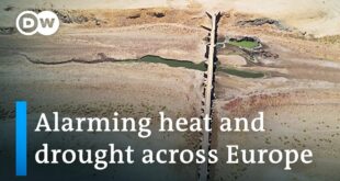 Record drought poses serious threat to Europe's environment and critical infrastructure | DW News