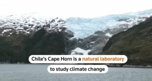 Scientists study Chile's climate change 'sentinel'