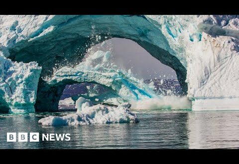 The impact of climate change on Greenland as the Arctic heats up - BBC News
