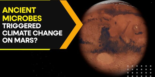 This study suggests ancient Mars was also hit by climate change | WION Originals
