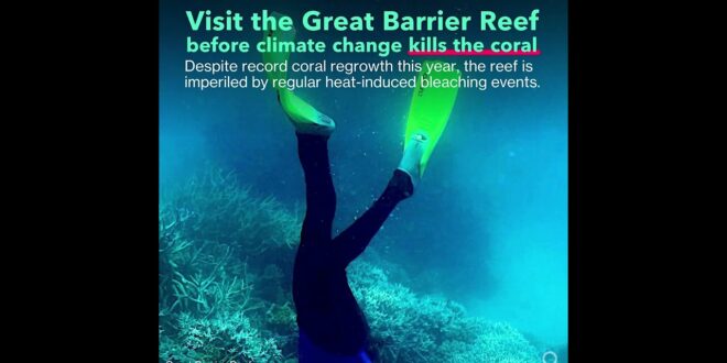 Visit the Great Barrier Reef Before Climate Change Kills the Coral