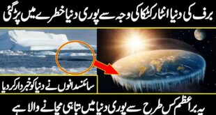 Whole World Is In Danger Due To  Climate change in the Antarctica | Urdu cover