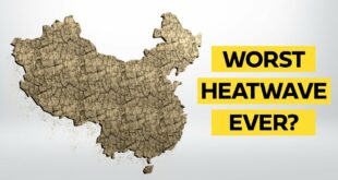 Why the horrific heatwave in China matters to you