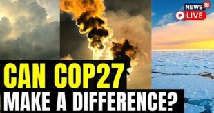 2022 United Nations Climate Change Conference | COP27 In Egypt | Global Warming | English News