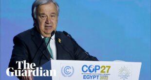 'We are in the fight of our lives,' says UN chief at Cop27 climate summit