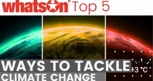 5 ways to tackle climate change |  WhatsOn