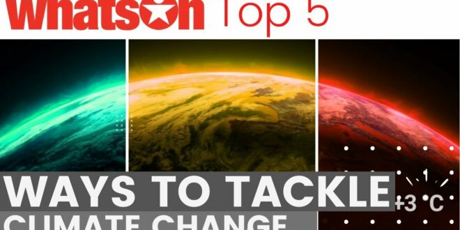 5 ways to tackle climate change |  WhatsOn