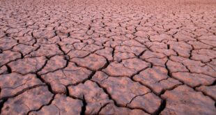 As the U.S. debates climate change, unprecedented drought ravages Arizona | U.S. midterm elections