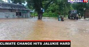 CLIMATE CHANGE HITS JALUKIE HARD