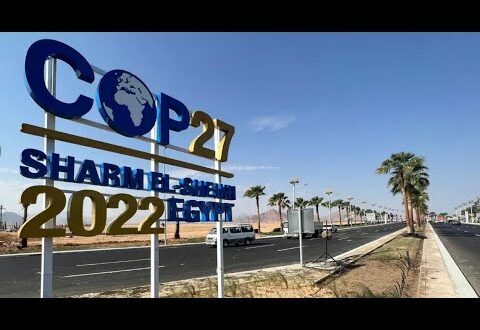 #COP27: Climate Change Summit Kicks off in Egypt