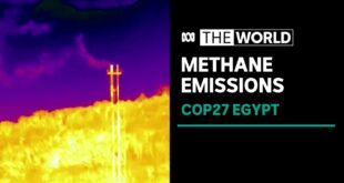 COP27: The need to reduce methane emissions to achieve climate change targets | The World