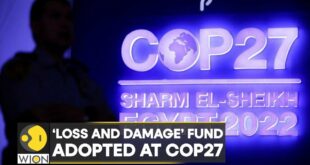 COP27: UN Climate Change Conference adopts ‘Loss and Damage’ fund | International News | UN