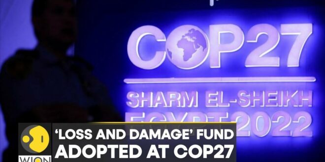 COP27: UN Climate Change Conference adopts ‘Loss and Damage’ fund | International News | UN