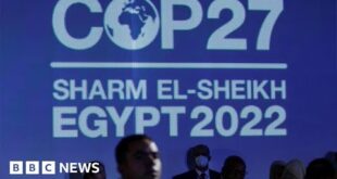 COP27 begins as world leaders arrive at climate summit in Egypt - BBC News