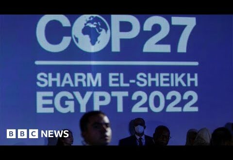 COP27 begins as world leaders arrive at climate summit in Egypt - BBC News