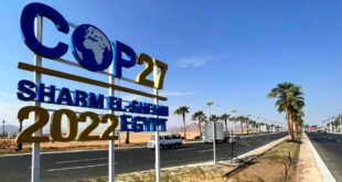 Carbon credits: COP27 climate change conference in Egypt