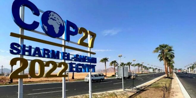 Carbon credits: COP27 climate change conference in Egypt