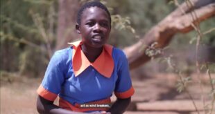 Children tackle climate change in rural Kenya