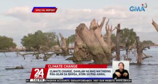 Climate change, dahilan ng mas matinding pag-ulan sa bansa, ayon sa pag-aaral | 24 Oras