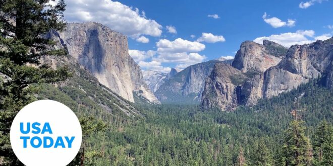 Climate change is slowly killing Yosemite forests | USA TODAY