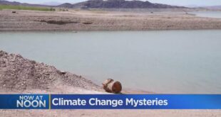 Dark Side Of Climate Change: Low Lake Levels Revealing Bodies