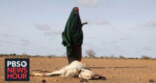Famine propelled by conflict and climate change threatens millions in Somalia