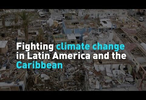 Fighting climate change in Latin America and the Caribbean