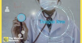How Climate Change Could Impact the Spread of Dengue Fever