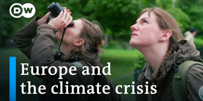 How is Europe tackling the climate crisis? | DW Documentary