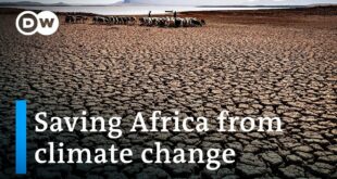 How will COP27 address Africa's climate challenges? | DW News