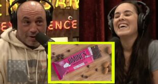 Joe Rogan: Will We Be Eating BUGS To Prevent Climate Change?! & LOL The Bug Apocalypse!!