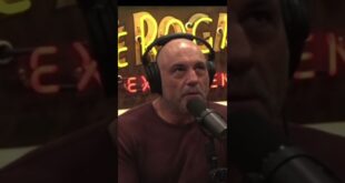 Joe Rogan and Eddie Bravo about climate change.  #podcast #comedy #money