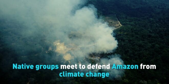 Native groups meet to defend Amazon from climate change